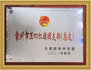 2021年五四紅旗團支部 2021年五四紅旗團支部